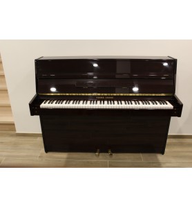 EC-109 DPM acajou foncé brillant de la marque Young Chang